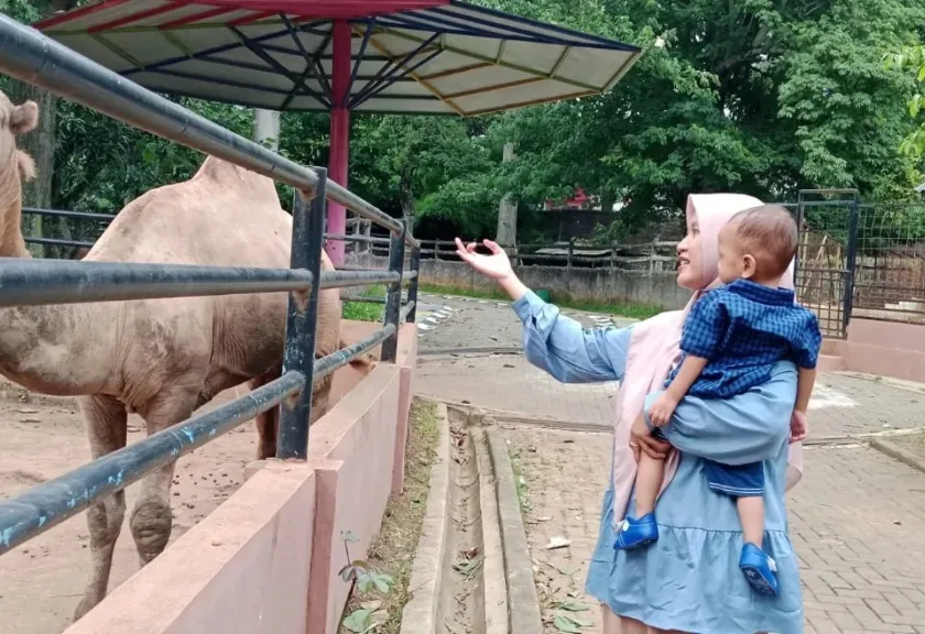 Pengunjung Semarang Zoo