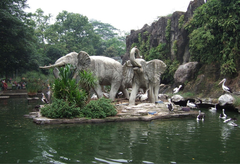 , Taman Margasatwa Ragunan 