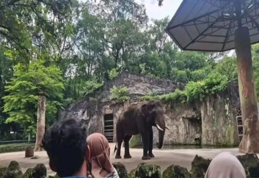 Ragunan