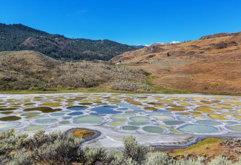Spotted Lake (Danau Kliluk) terletak di barat laut Osoyoos, British Columbia, Kanada