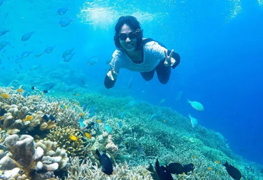 Aktivitas snorkeling di perairan Kepulauan Derawan, Kaltim