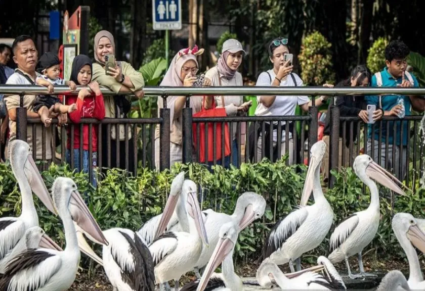 Wisatawan di Taman Margasatwa Ragunan