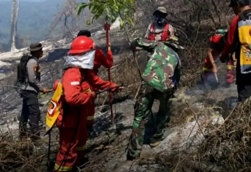 Pemadaman kebakaran lahan di kawasan Gunung Rinjani Lombok, Nusa Tenggara Barat