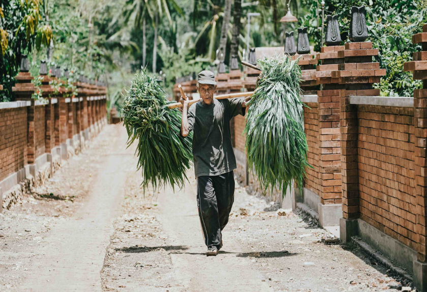 Desa Wotawati
