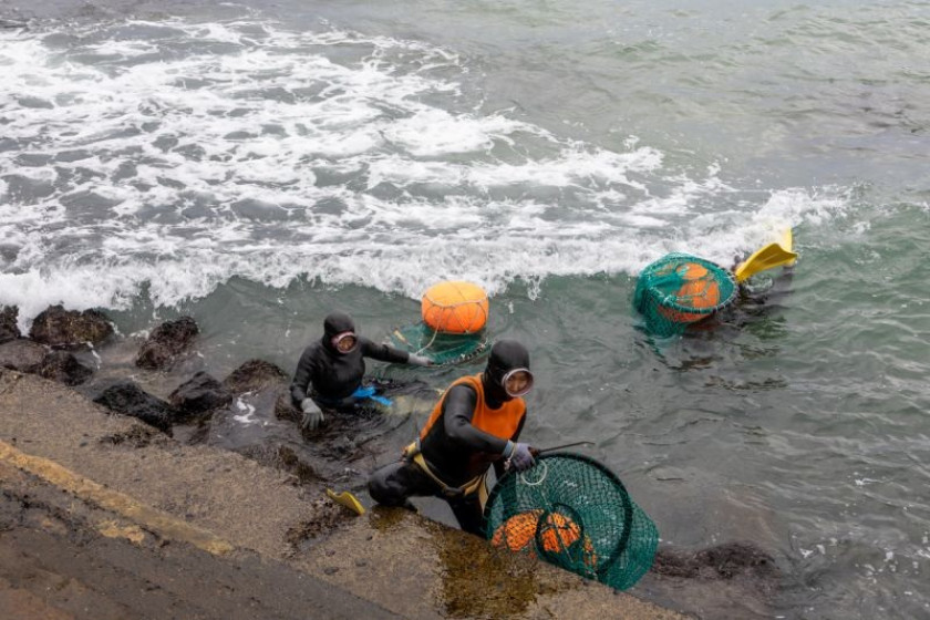 Haenyeo, penyelam tradisional perempuan dari Jeju, Korea Selatan 
