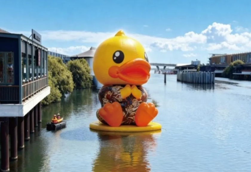 B.Duck