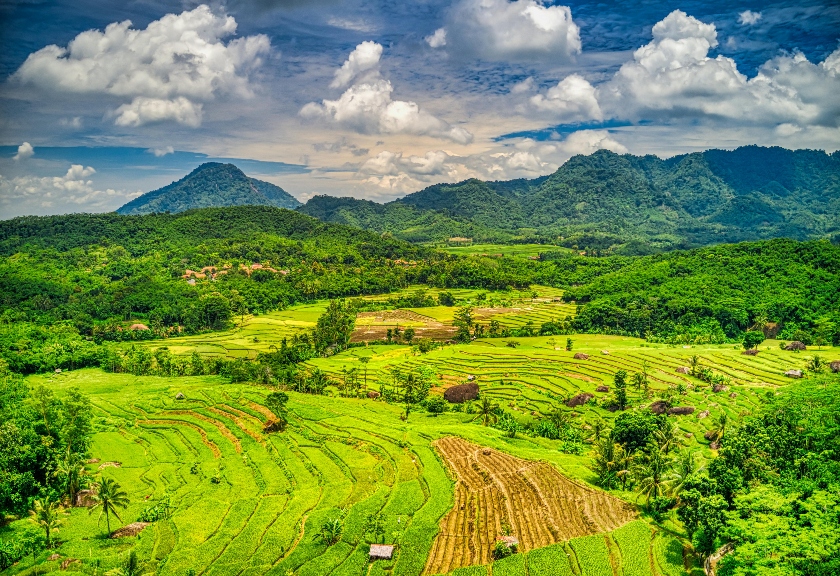 Alam Indonesia